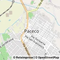 Harita Paceco