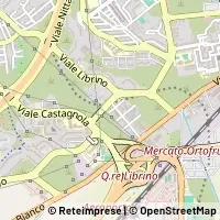 Peta Catania