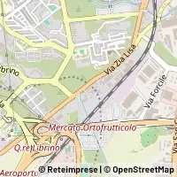 Map Catania