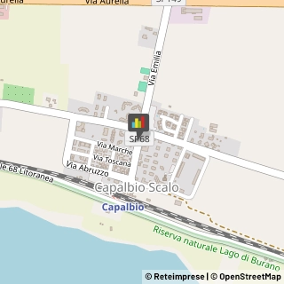 Agenzie Immobiliari Capalbio,58011Grosseto