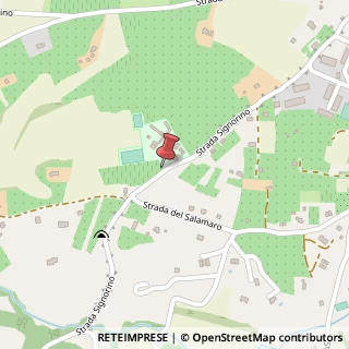 Mappa Strada Signorino, 3, 01100 Viterbo, Viterbo (Lazio)