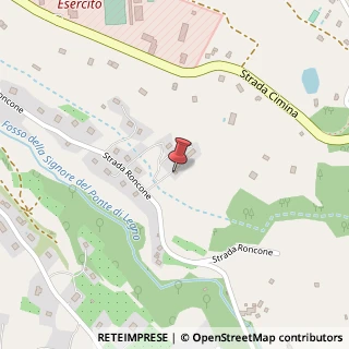 Mappa Strada Roncone, 10, 01100 Vetralla, Viterbo (Lazio)