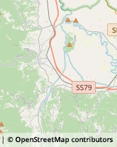 Trasporti Eccezionali Rieti,02100Rieti