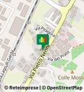 Via Pietro Nenni, 146,66020San Giovanni Teatino