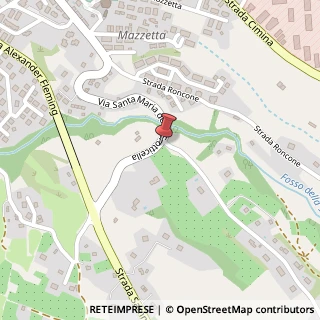 Mappa Strada Sammartinese, 10, 01100 Vetralla, Viterbo (Lazio)