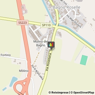 Consulenza Informatica,58100Grosseto