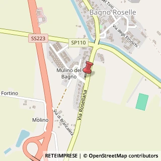 Mappa Via Rosellana, 39/B, 58100 Grosseto, Grosseto (Toscana)