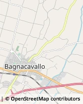 Avicoltura Bagnacavallo,48012Ravenna