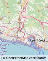 Agenzie Immobiliari Genova,16127Genova