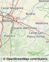 Tour Operator e Agenzia di Viaggi San Lazzaro di Savena,40068Bologna