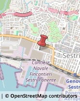 Via dei Costo, 13/BIS,16154Genova