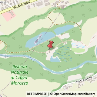 Mappa Piazza G. Mazzini, 4, 12047 Rocca de' Baldi, Cuneo (Piemonte)