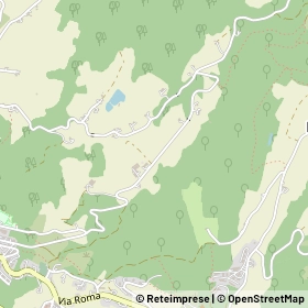 Mappa 41028