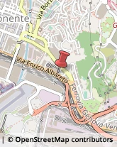 Via Buccari, 71,16153Genova