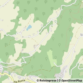 Mappa 41028