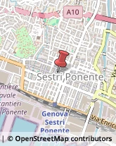 Via Chiappori, 5,16100Genova