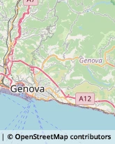 Vetrai Genova,16159Genova