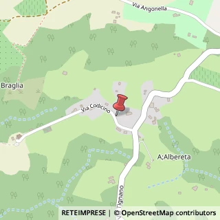 Mappa Via Codicino, 3, 40037 Sasso Marconi, Bologna (Emilia Romagna)