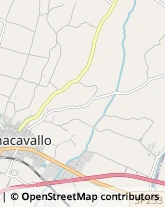 Farmacie Bagnacavallo,48012Ravenna