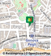 Via Pavia, 1/C,16156Genova