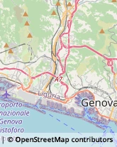 Autotrasporti Genova,16149Genova