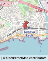 Via Sabotino, 9,16155Genova