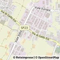 Carte Ponsacco