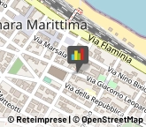 Autotrasporti,60015Ancona