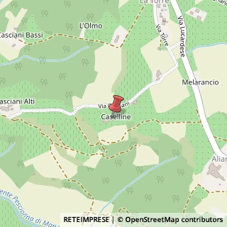 Mappa Via Casciani, 3, 50025 Montespertoli, Firenze (Toscana)