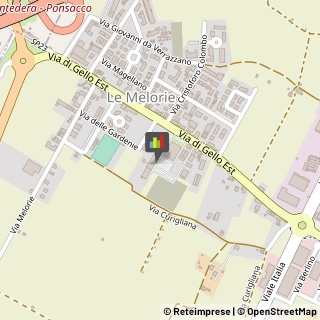 Ballo e Danza - Scuole,56038Pisa