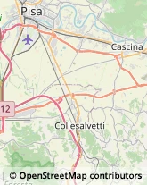 Autofficine e Centri Assistenza Collesalvetti,57017Livorno