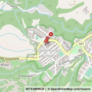 Mappa Via Roma, 36, 52020 San Giovanni Valdarno, Arezzo (Toscana)
