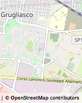 Trasporti Grugliasco,10095Torino