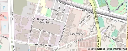 Mappa Orbassano