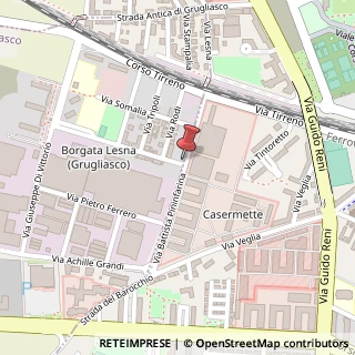 Mappa Via Alfieri Vittorio, 2, 10095 Grugliasco, Torino (Piemonte)