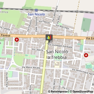 Animali Domestici - Toeletta Piacenza,29010Piacenza