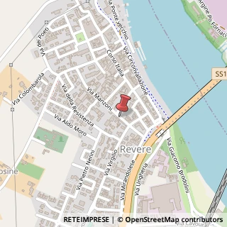 Mappa Via Manzoni Alessandro, 43, 46036 Revere, Mantova (Lombardia)