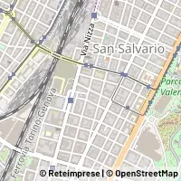 Peta Torino