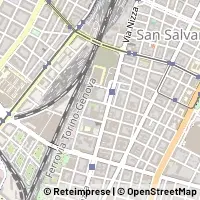 Peta Torino