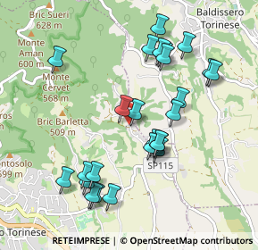 Mappa Via Tetti Rocco, 10025 Pino torinese TO, Italia (0.972)