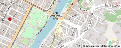 Mappa Turin