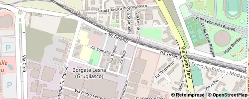 Mappa Grugliasco