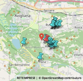 Mappa Borgata Fiori, 10090 Reano TO, Italia (1.348)