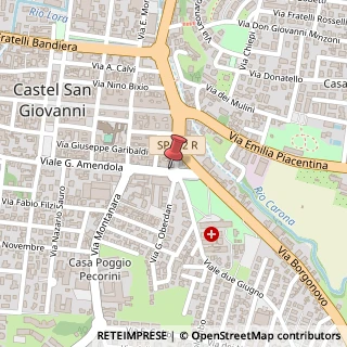 Mappa Viale Amendola, 49, 29015 Castel San Giovanni, Piacenza (Emilia Romagna)
