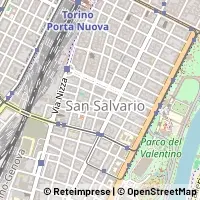 Carte Torino