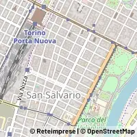 Peta Torino