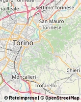 Avicoltura Torino,10146Torino