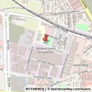 Mappa Via Alfieri Vittorio, 46, 10095 Grugliasco, Torino (Piemonte)