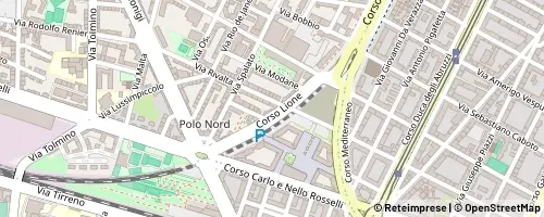 Mappa تورينو