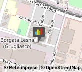 Officine Meccaniche di Precisione,10095Torino